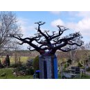 Deko Baobab Baum aus alten Ölfässern 160 cm wetterfest