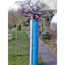 Deko Baobab Baum aus alten Ölfässern 160 cm wetterfest