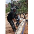 Deko Baobab Baum aus alten Ölfässern 160 cm wetterfest