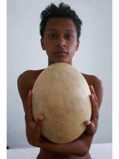 1 Fragment Nr. 03 vom größten Ei der Welt ! Aepyornis maximus Elefantenvogel Ei aus Madagaskar
