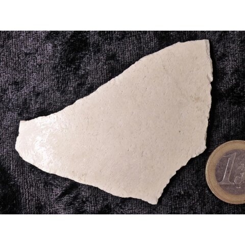 1 Fragment Nr. 06 vom größten Ei der Welt ! Aepyornis maximus Elefantenvogel Ei aus Madagaskar