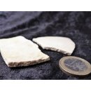 1 Fragment Nr. 06 vom größten Ei der Welt ! Aepyornis maximus Elefantenvogel Ei aus Madagaskar