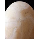 Das größte Ei der Welt ! Aepyornis maximus Elefantenvogel Ei Nr. IV. normal montiert 1765 g