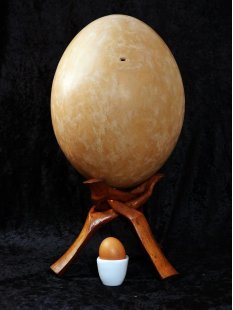 Das größte Ei der Welt ! Aepyornis maximus...