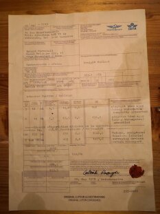 Das größte Ei der Welt ! Aepyornis maximus Elefantenvogel Ei Nr. VII. präpariert mit kleinem Fraßloch H: 32 cm 1987 g