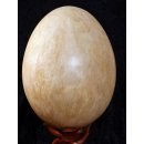 Das größte Ei der Welt ! Aepyornis maximus Elefantenvogel Ei Nr. VII. nicht montiert, intakt mit kleinem Fraßloch H: 32 cm 1987 g