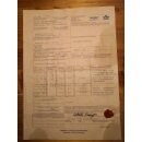 Das größte Ei der Welt ! Aepyornis maximus Elefantenvogel Ei Nr. VII. präpariert mit kleinem Fraßloch H: 32 cm 1987 g