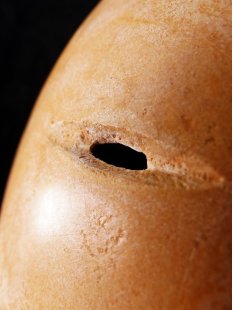 Das größte Ei der Welt ! Aepyornis maximus Elefantenvogel Ei Nr. VIII. nicht montiert, intakt mit kleinem Fraßloch H: 33 cm 2038 g