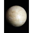 Das größte Ei der Welt ! Aepyornis maximus Elefantenvogel Ei Nr. XIV präpariert, mit kleinem Fraßloch H: 32 cm 1700 g