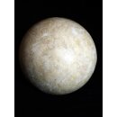 Das größte Ei der Welt ! Aepyornis maximus Elefantenvogel Ei Nr. XIV präpariert, mit kleinem Fraßloch H: 32 cm 1700 g