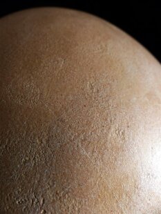 Das größte Ei der Welt ! Aepyornis maximus Elefantenvogel Ei Nr. XV präpariert, mit kleinem Fraßloch H: 33 cm 1700 g