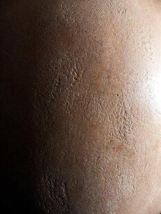 Das größte Ei der Welt ! Aepyornis maximus Elefantenvogel Ei Nr. XV präpariert, mit kleinem Fraßloch H: 33 cm 1700 g