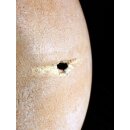 Das größte Ei der Welt ! Aepyornis maximus Elefantenvogel Ei Nr. XV präpariert, mit kleinem Fraßloch H: 33 cm 1700 g