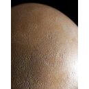 Das größte Ei der Welt ! Aepyornis maximus Elefantenvogel Ei Nr. XV präpariert, mit kleinem Fraßloch H: 33 cm 1700 g