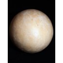 Das größte Ei der Welt ! Aepyornis maximus Elefantenvogel Ei Nr. XV präpariert, mit kleinem Fraßloch H: 33 cm 1700 g