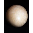 Das größte Ei der Welt ! Aepyornis maximus Elefantenvogel Ei Nr. XV präpariert, mit kleinem Fraßloch H: 33 cm 1700 g